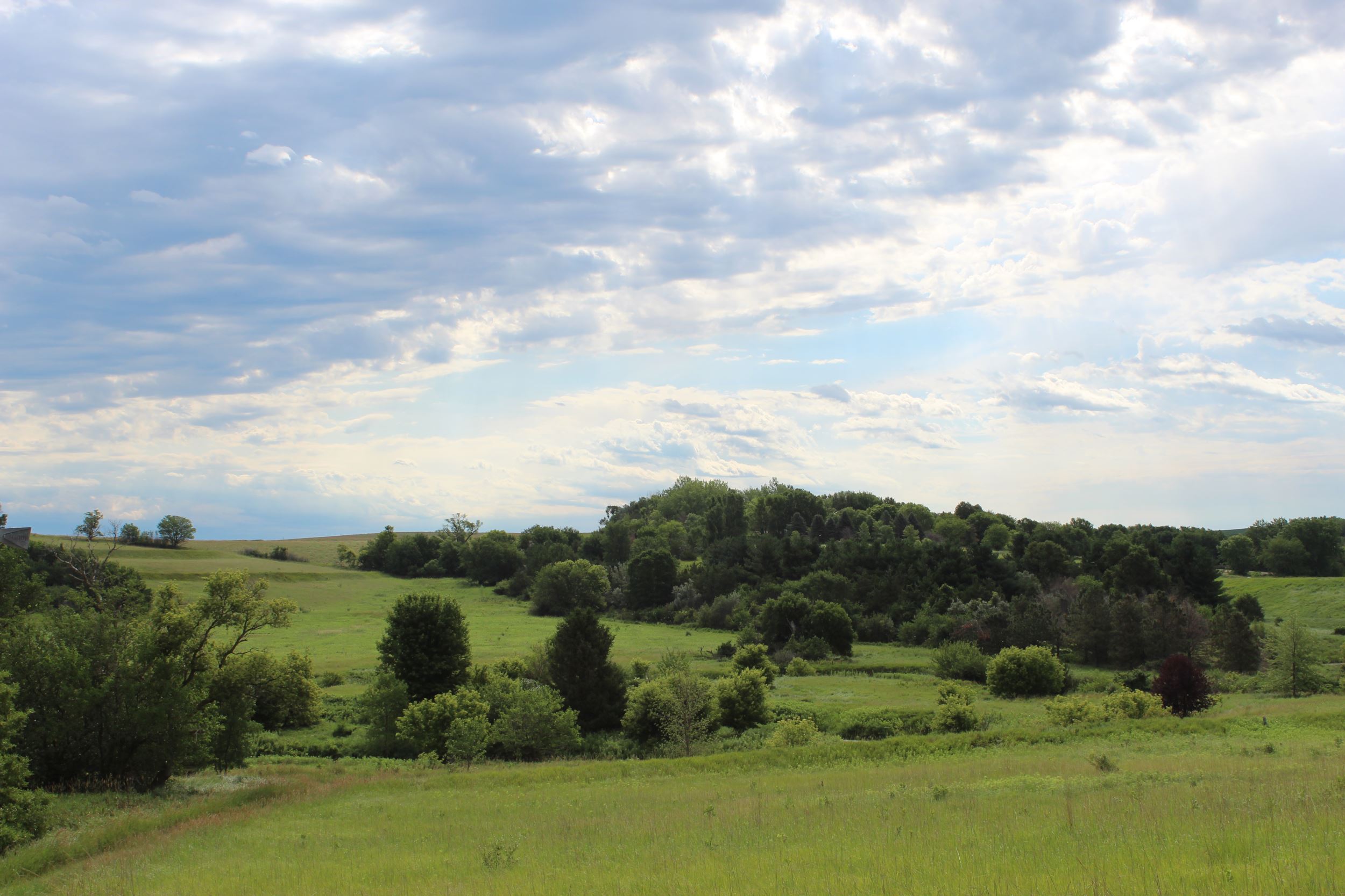 Getting Started - Iowa Landowner Options